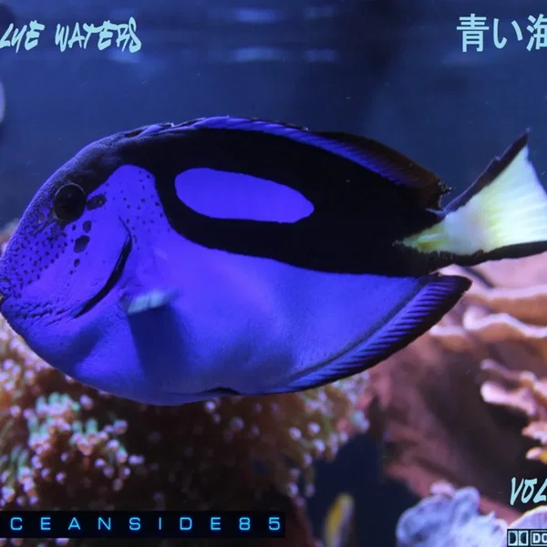 Blue Waters, Vol.1
