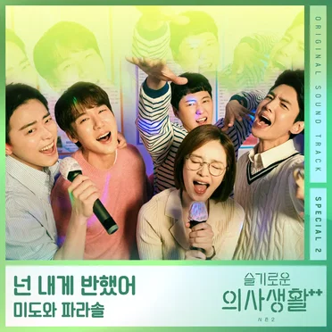 슬기로운 의사생활 시즌2 OST Special 2 by 미도와 파라솔 - album cover