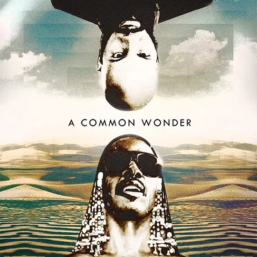 A Common Wonder by Amerigo Gazaway - album cover