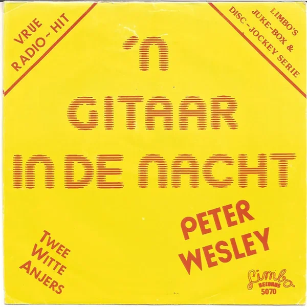’n Gitaar in de nacht