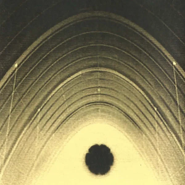 Hiroshi Hasegawa / Fecal Vomit