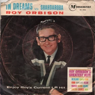 In Dreams / Shahdaroba