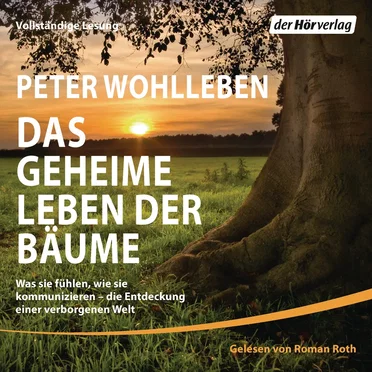 Das geheime Leben der Bäume: Was sie fühlen, wie sie kommunizieren – die Entdeckung einer verborgenen Welt by Peter Wohlleben - album cover