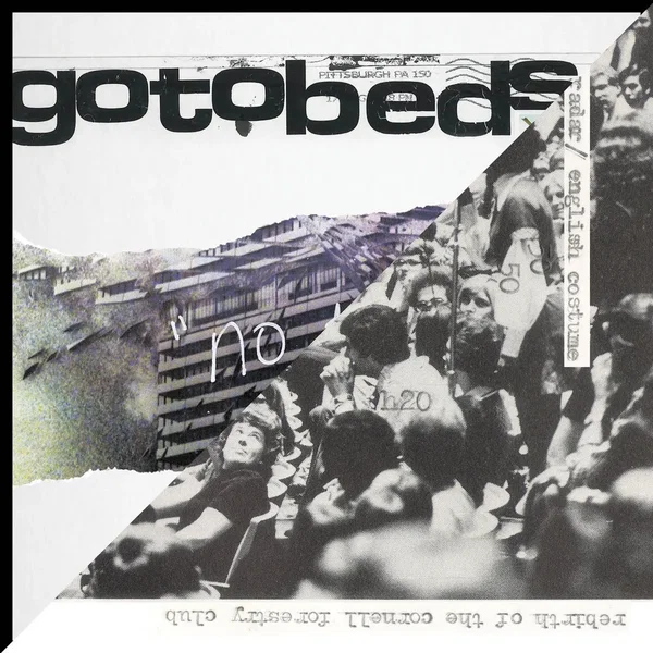 Honey Radar / The Gotobeds Split