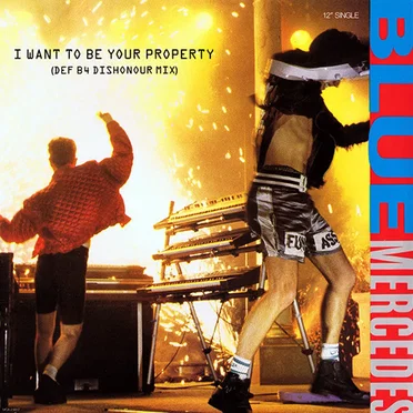 I Want to Be Your Property