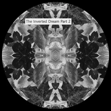 The Inverted Dream, Part 2
