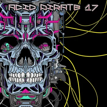 Acid Pirate 17 by Various Artists - album cover