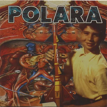 Polara