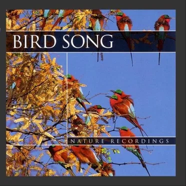 Nature Recordings: Birdsong
