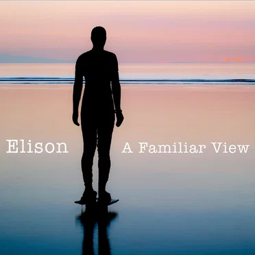 A Familiar View by Elison - album cover