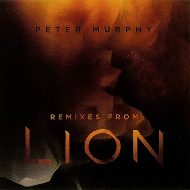 Remixes from Lion