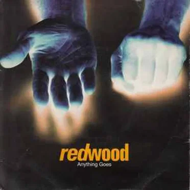 Anything Goes by Redwood - album cover