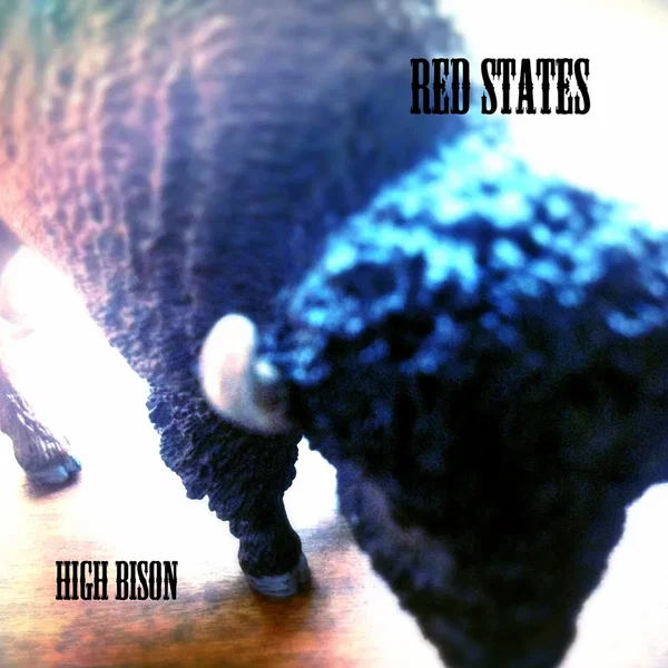 High Bison
