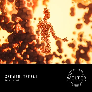WELTER241 by Sermon - album cover
