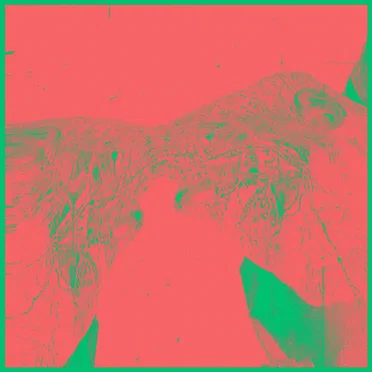 Perpetual Stranger by D80 - album cover