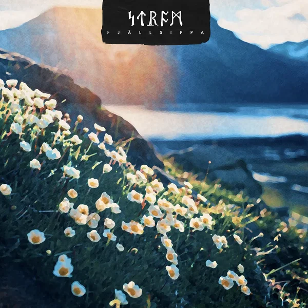 Fjällsippa