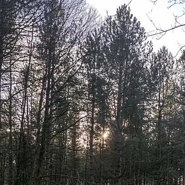 days hours minutes seconds