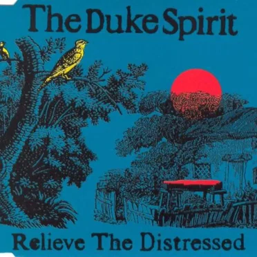 Relieve the Distressed by The Duke Spirit - album cover