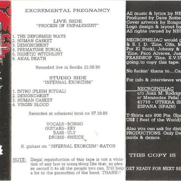 Excremental Pregnancy