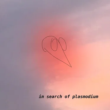 In Search of Plasmodium