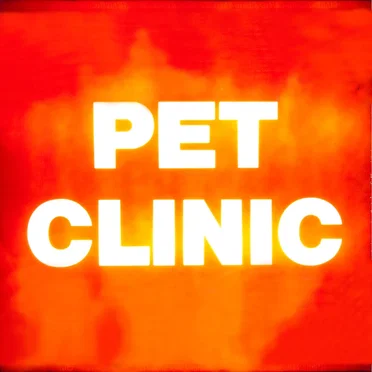 The Dust That Made the Fire That Made the Light by Pet Clinic - album cover