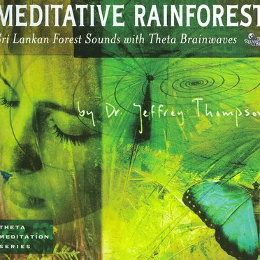 Meditative Rainforest