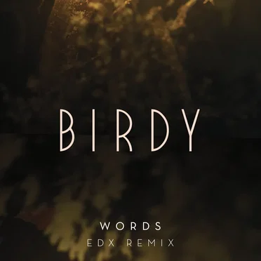 Words (EDX remix)