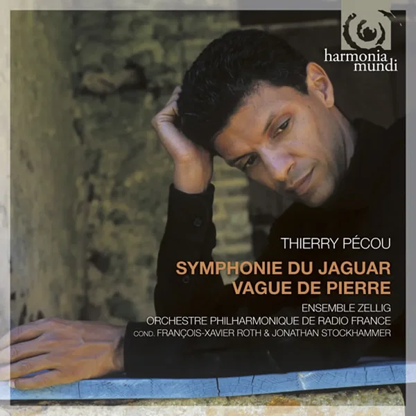 Symphonie du Jaguar / Vague de pierre
