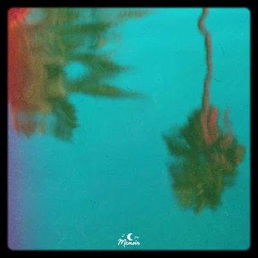 In the Shade (Aviino remix)