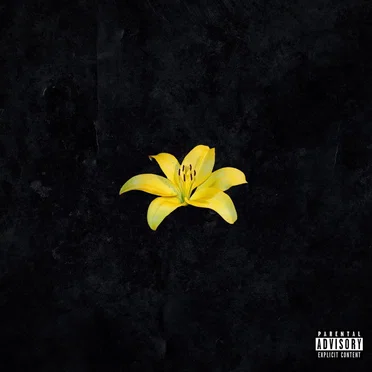 Жёлтые лилии