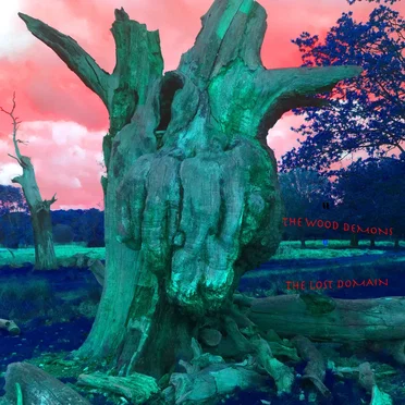 The Lost Domain by The Wood Demons - album cover
