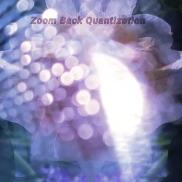 Zoom Back Quantization