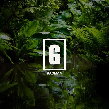 Badman by Tim Gunter - album cover