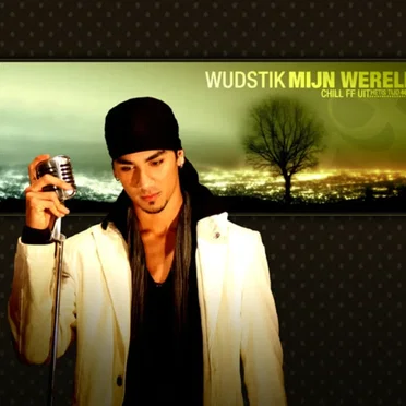Mijn wereld by Wudstik - album cover
