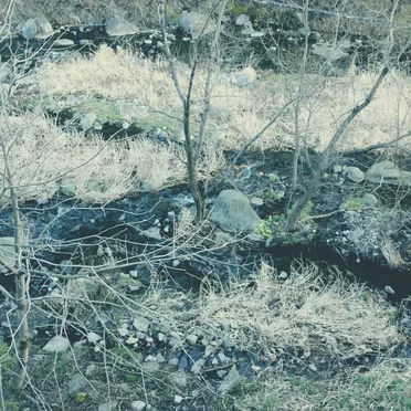 Log 11
