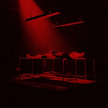 Excerpt From an Atypical Brain Damage