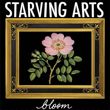 Bloom