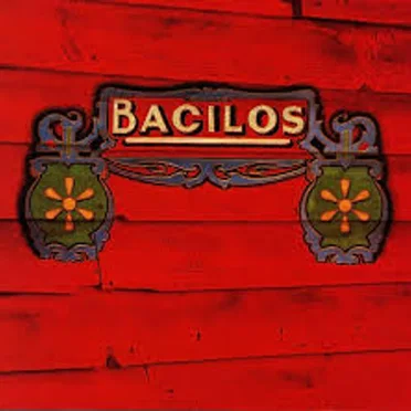 Bacilos