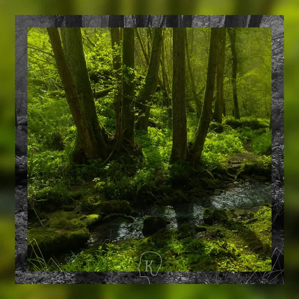 Forest Offerings