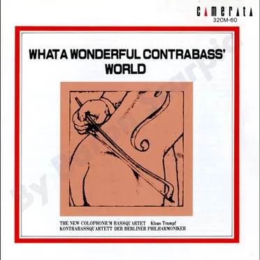 What a Wonderful Contrabass' World! by Various Artists - album cover