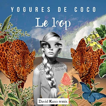 Le Loop (David Kano Remix) by Yogures de Coco - album cover