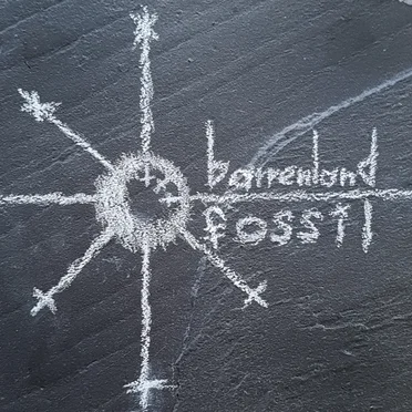 fossil