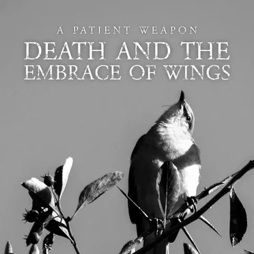 Death and the Embrace of Wings