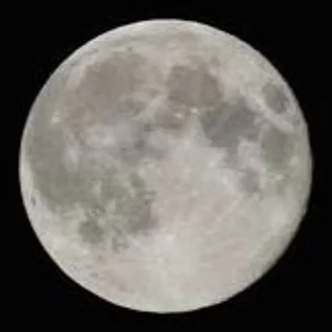 daylight / neverland (boyfifty)