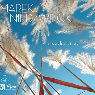 Muzyka Ciszy by Various Artists - album cover