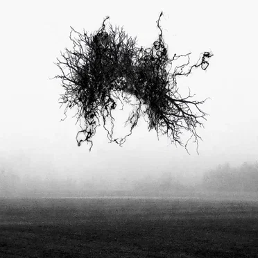 Ringande by White Death - album cover