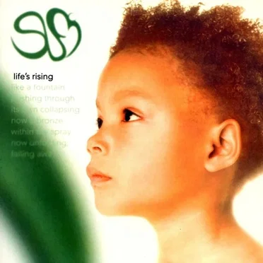Life's Rising by Sufi - album cover