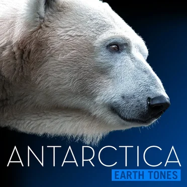 Antarctica