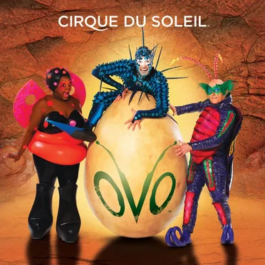 Ovo