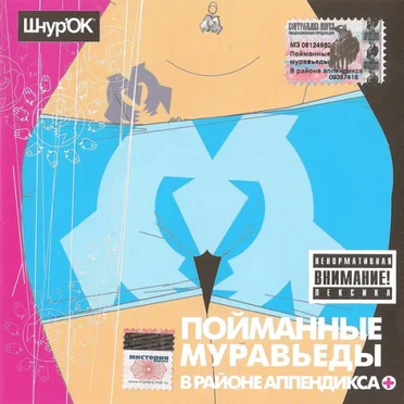 В районе Аппендикса by Пойманные муравьеды - album cover
